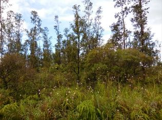 Road 8 Moho LOT 5037, Kurtistown, HI 96760