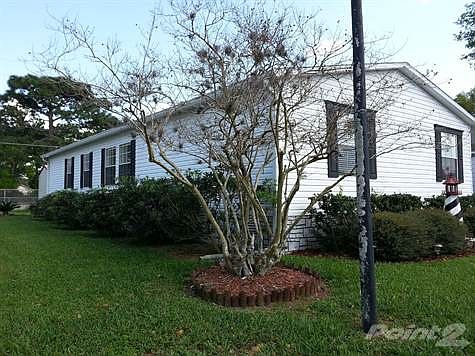 beautiful crepe myrtle outside