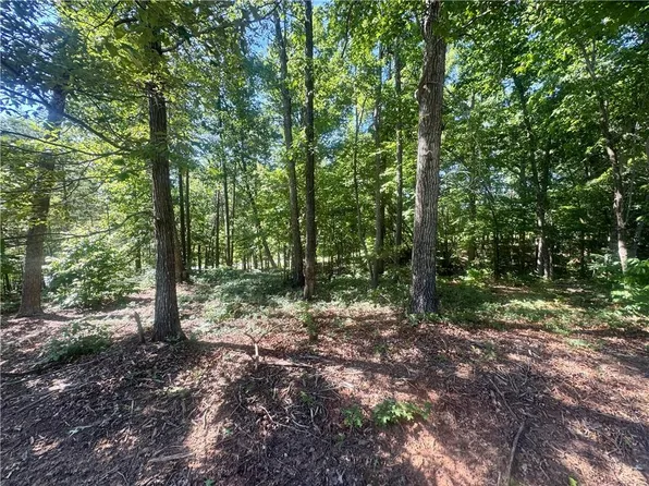 0 Teel Mountain Dr Lot 2, Cleveland, GA 30528