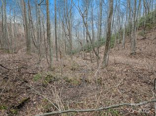 19 Mossy Rock Ln #76, Leicester, NC 28748