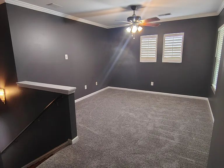 201 Wild Olive Dr — Photo 5