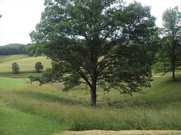 Land