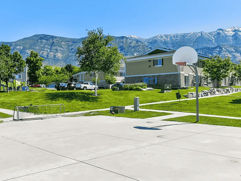 Basketball with a View