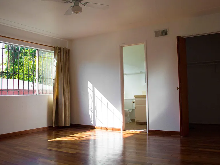Master Bedroom with south-facing windows