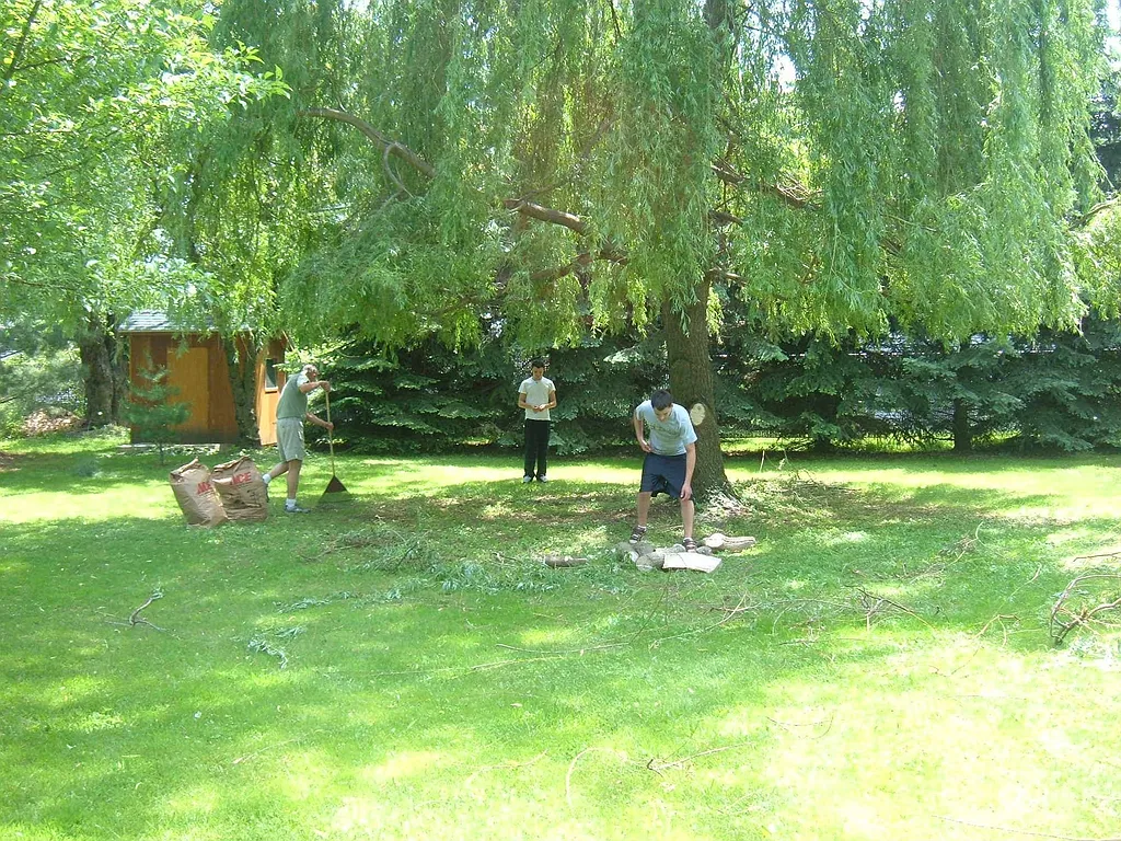 Property photo 3