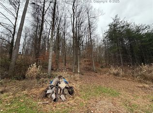 25 Pinson Dr, Winfield, WV 25213