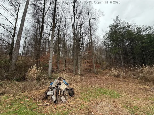 25 Pinson Dr, Winfield, WV 25213