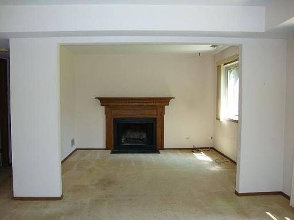 Wood burning fireplace