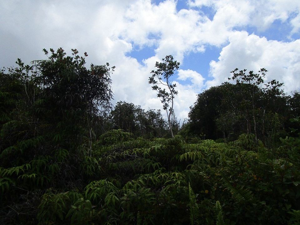 2nd image of Malia Aina Rd Lot 28