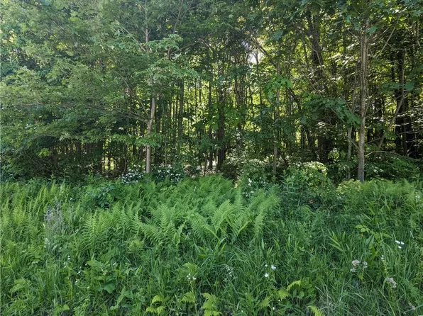 0 Listie Rd, Friedens, PA 15541