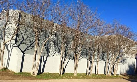 Bel Air Oaks — Photo 29
