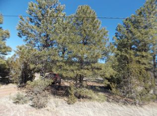 3391 Mogollon Dr, Overgaard, AZ 85933