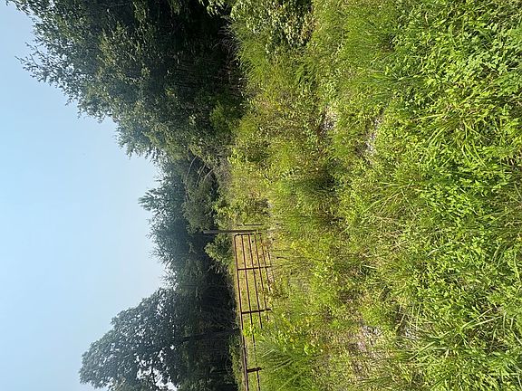 5th image of 0 Alexander Rd