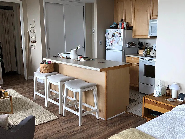 2626 N Lakeview Ave #3710 — Photo 9