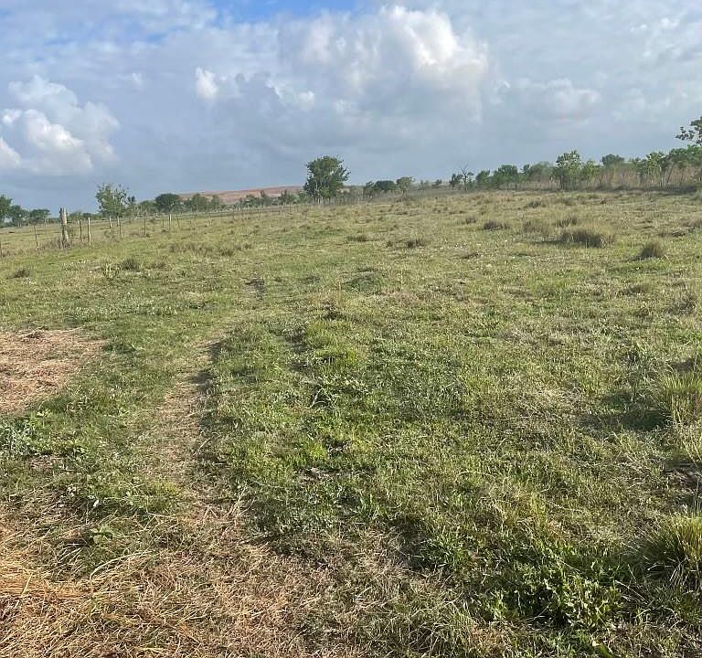 1st image of 1010 County Road 595