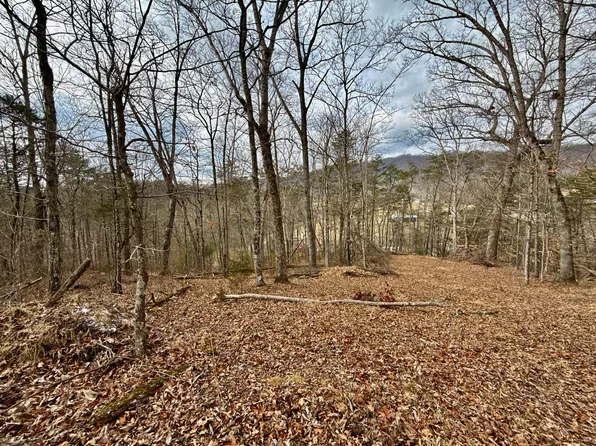 25/AC Horton Hwy, Chuckey, TN 37641