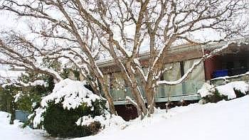 1st image of 3661 E Ceres Dr