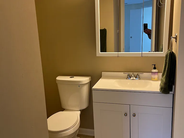 4339 Pembrook Village Dr — Photo 16