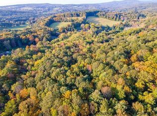 0 Pitts Rd, Old Chatham, NY 12136