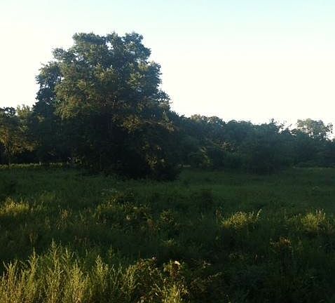 3rd image of 2035 County Road 131