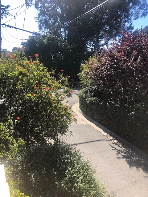 Forbes St, Santa Cruz — Photo 4