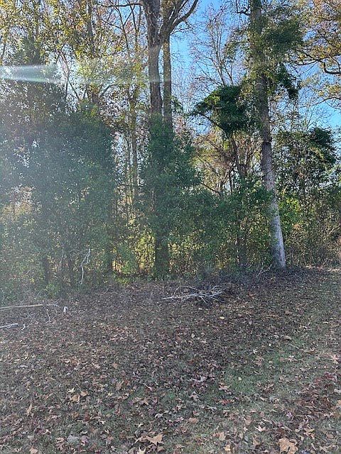 2nd image of 2550 Antelope Dr