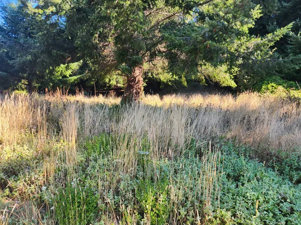 141 Spring Rd, Whitethorn, CA 95589