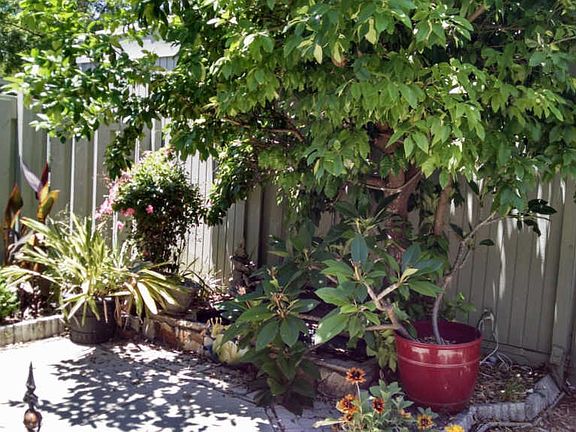 2nd image of 900 Bay Dr APT 31