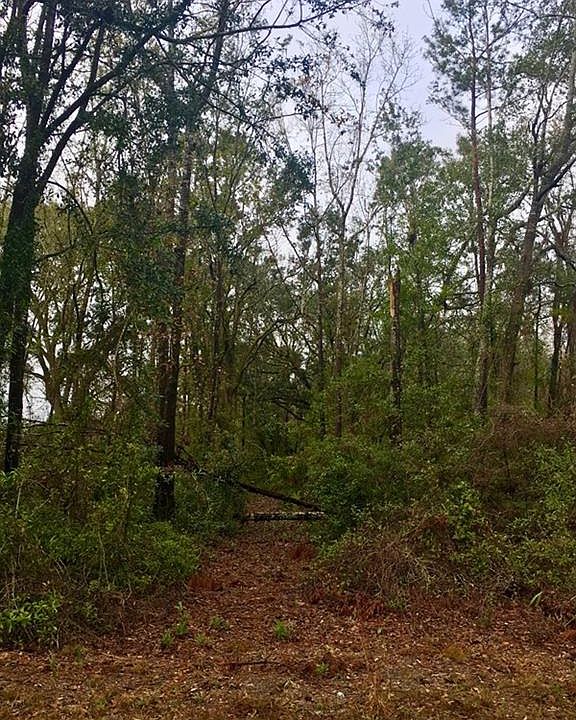 2nd image of 497 Myers Hill Rd