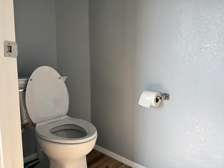 Master bathroom toliet