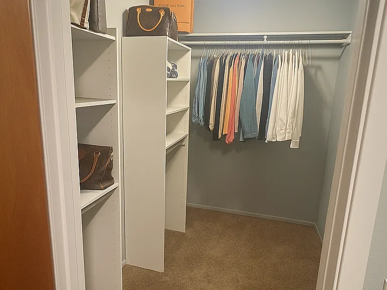 Master suit walk in closet