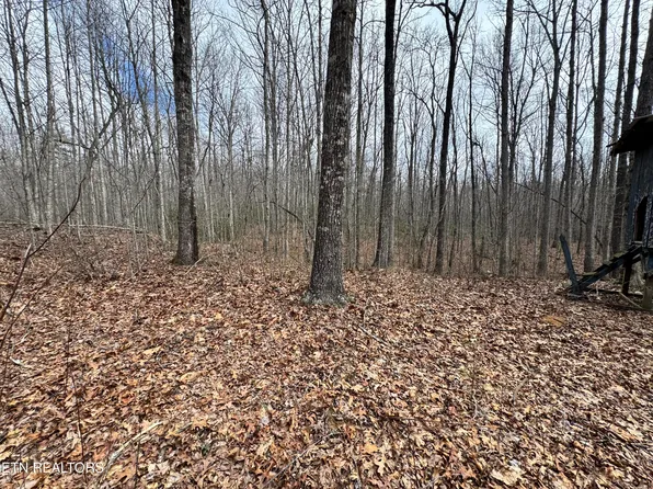 1552 Wilson Ridge Rd, Jamestown, TN 38556