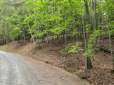 LOT 2788 Medina Ct, Ellijay, GA, 30540