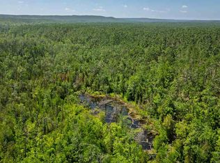 1133 W Thumb Lake Rd, Vanderbilt, MI 49795