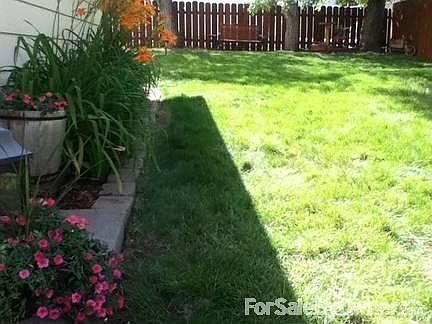 Large back yard