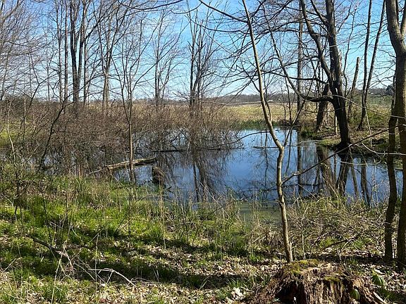 2nd image of 0 County Road 14 Rd