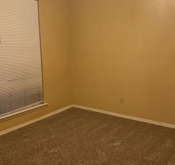 5310 Pampas Ct — Photo 7