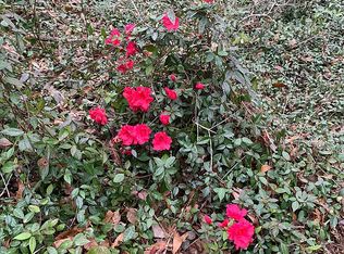 558 Branscomb Rd, Green Cove Springs, FL 32043