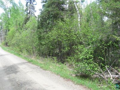 Tbd Black Bear Trl, Ely, MN, 55731
