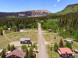 2586 County Road 12, Alma, CO 80420