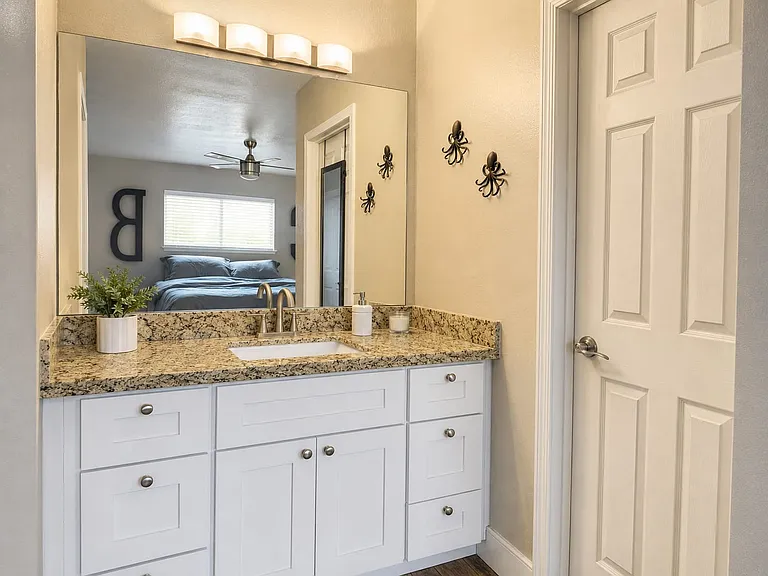Primary Bathroom vanity