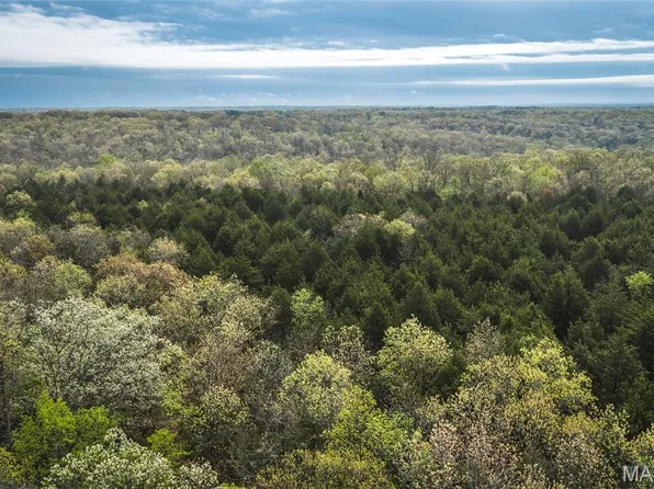 TRACT 4 Cleavesville Rd, Bland, MO 65014