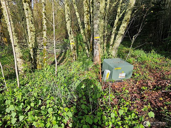 3rd image of 0 Birley Rd