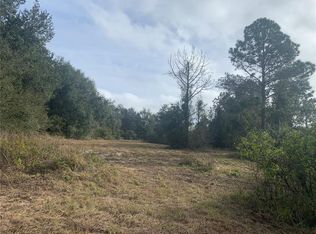 N Cherry Lake Groves Rd LOT 1, Groveland, FL 34736