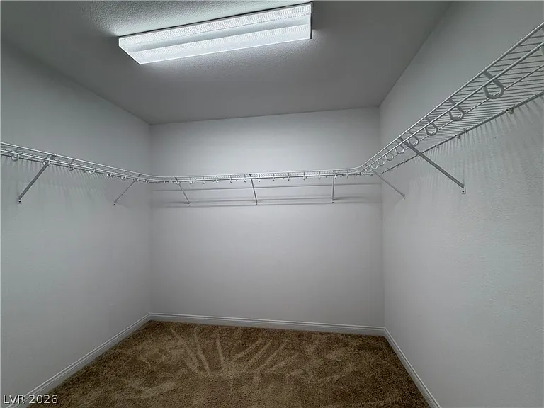 7869 Tyrell Peaks St — Photo 19