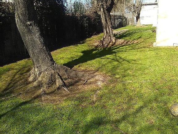 4th image of 2315 Laramie Ln APT 1