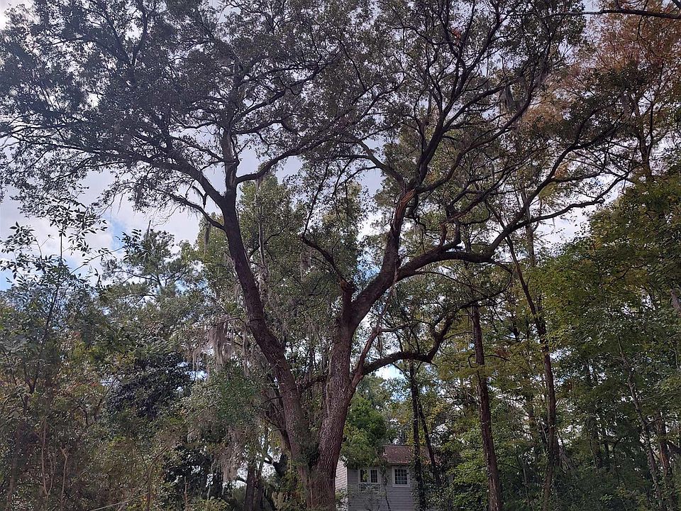 2nd image of 55 Renty Tucker Ct.