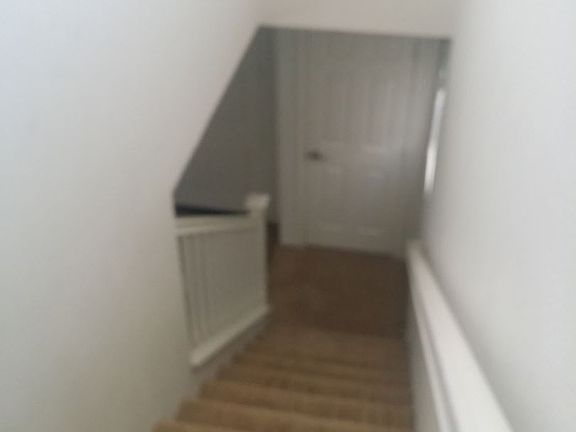 3rd image of 11206 Dewitt Dr