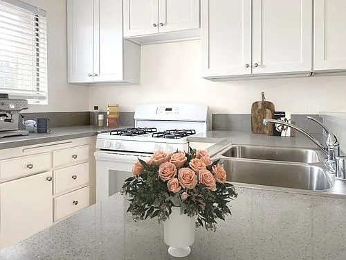 TERRA VISTA APARTMENT HOMES — Photo 20