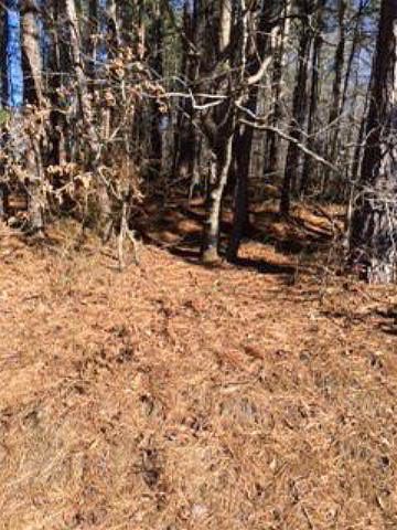 2nd image of 160 Dwight Rd